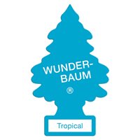 1 stk. Wunderbaum tropical