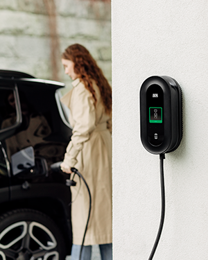 Ladeboks uden abonnement